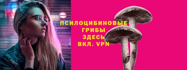 дмт Баксан