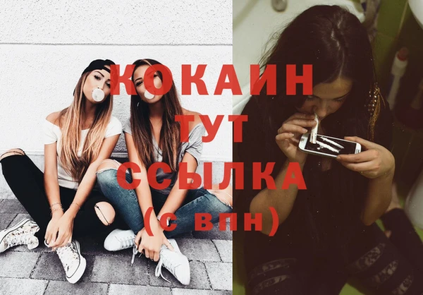 стаф Балахна