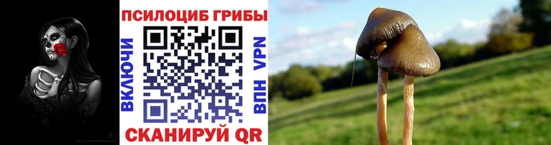 shop какой сайт  Шебекино  Псилоцибиновые грибы мицелий  наркота 